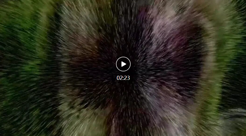 fae7664f-b63f-4320-8d18-d7f882253b92.png